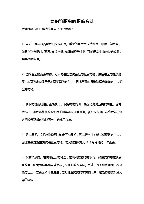 给狗狗驱虫的正确方法