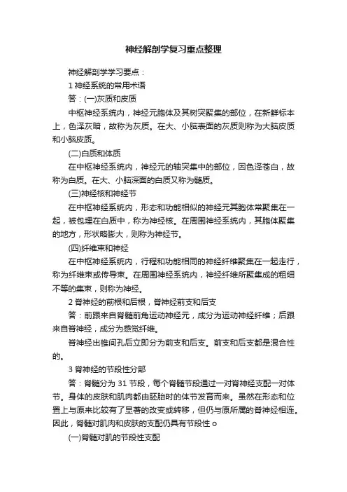 神经解剖学复习重点整理