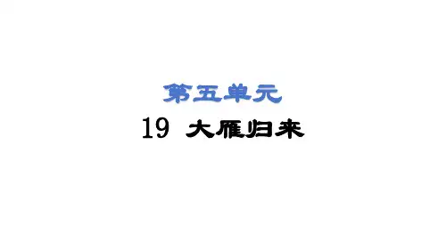 第19课 大雁归来 课件(共47张PPT) 统编版语文七年级上册(2024)