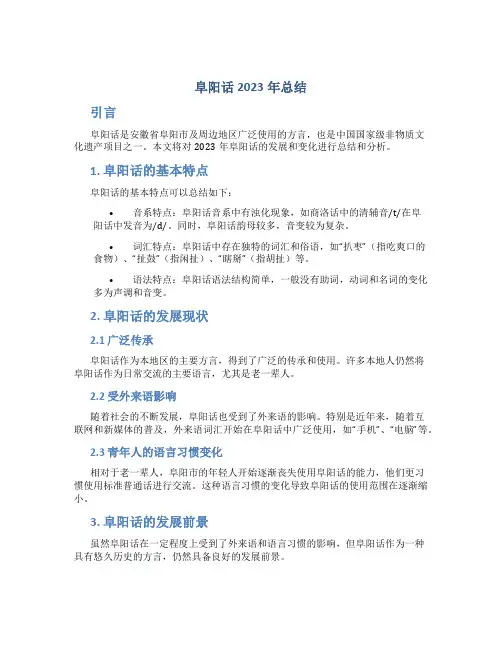 阜阳话2023年总结