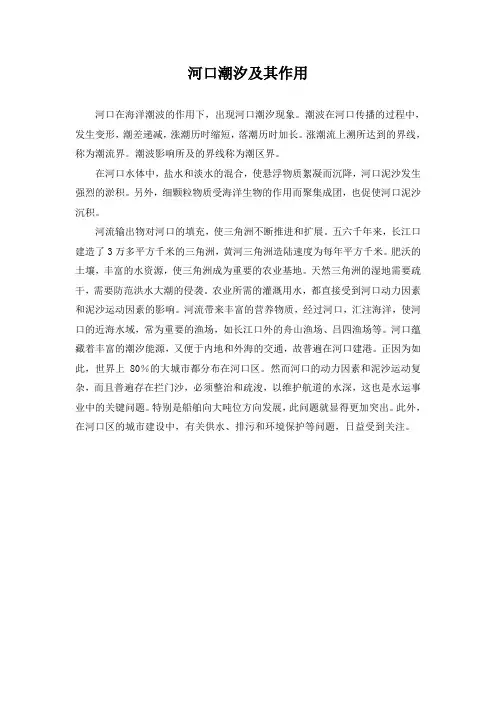 精品高中地理 河口潮汐及其作用