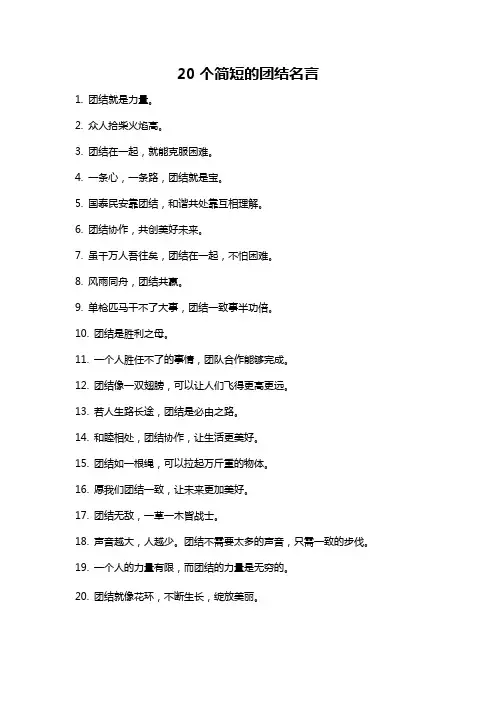 20个简短的团结名言