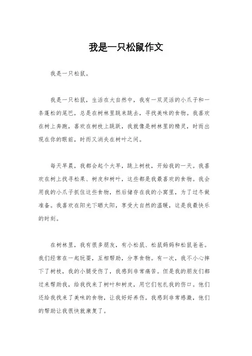 我是一只松鼠作文