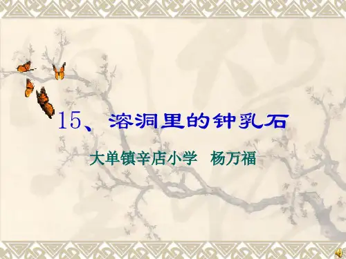 科学课件溶洞里的钟乳石