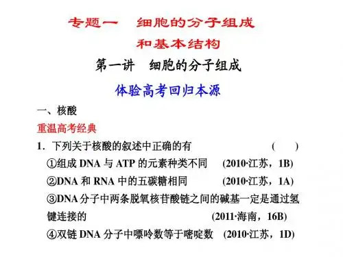 专题一 细胞的分子组成和基本结构1