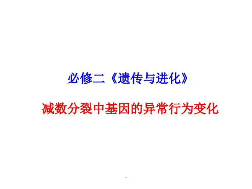 高三复习：减数分裂导致配子异常现象分析