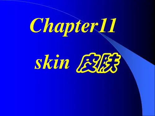 组织学与胚胎学  课件 第十一章 皮肤