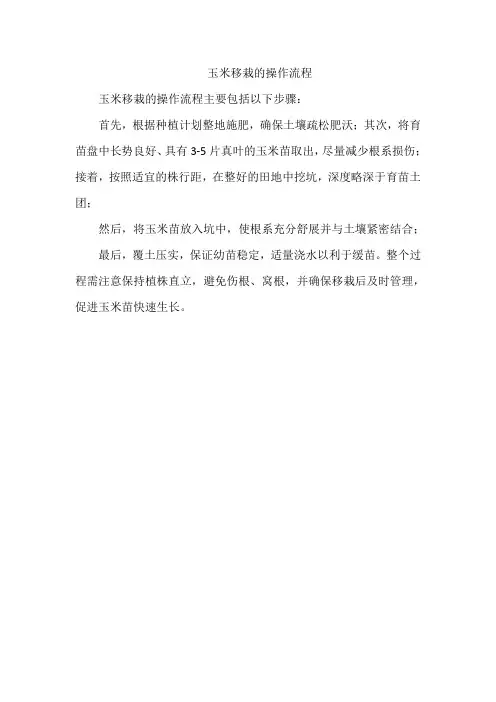 玉米移栽的操作流程