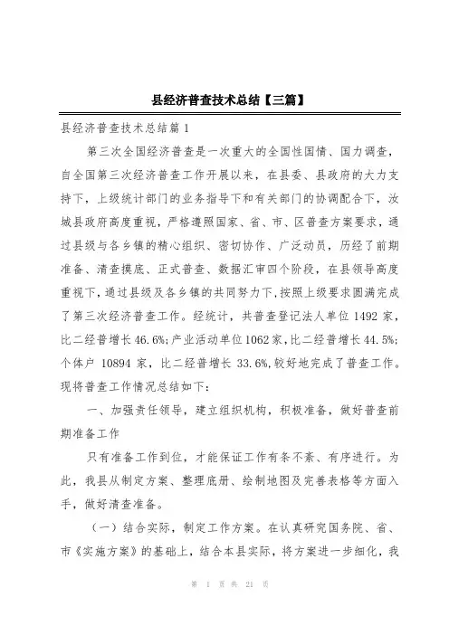 县经济普查技术总结【三篇】