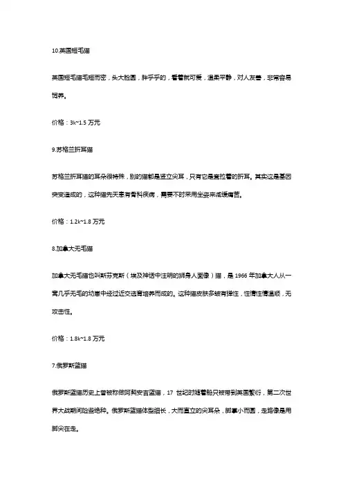 十大名贵猫排名
