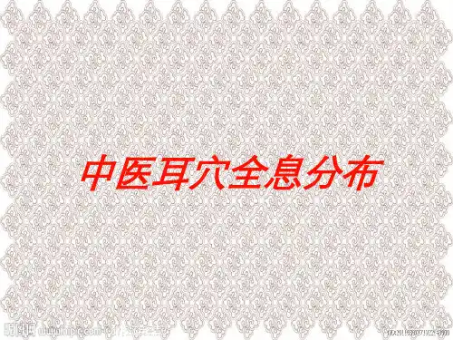 中医耳穴全息分布培训课件
