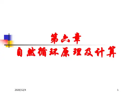 第6章—自然循环原理及计算