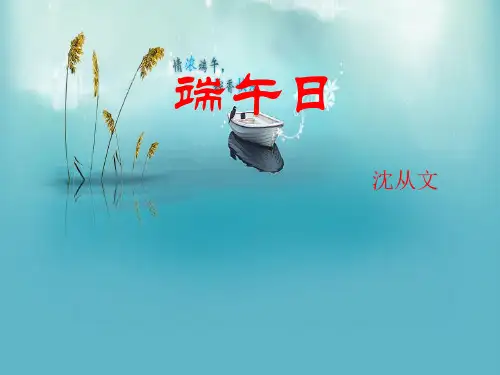 《端午日》ppt课件全面版