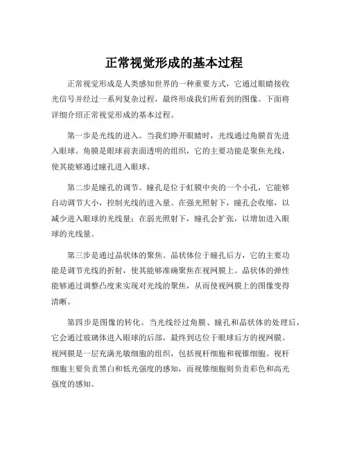 正常视觉形成的基本过程