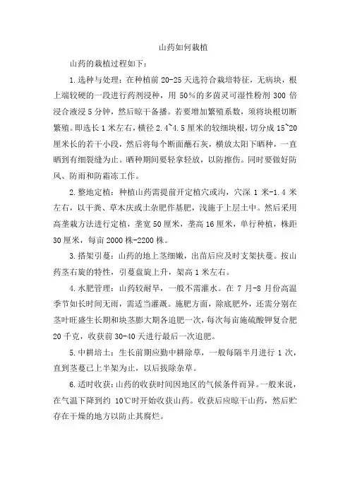 山药如何栽植