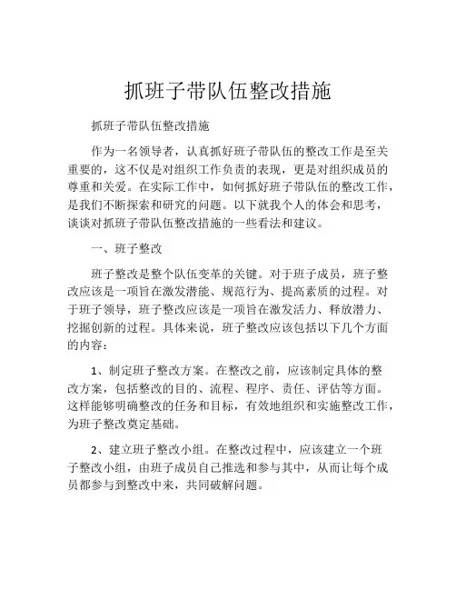 抓班子带队伍整改措施