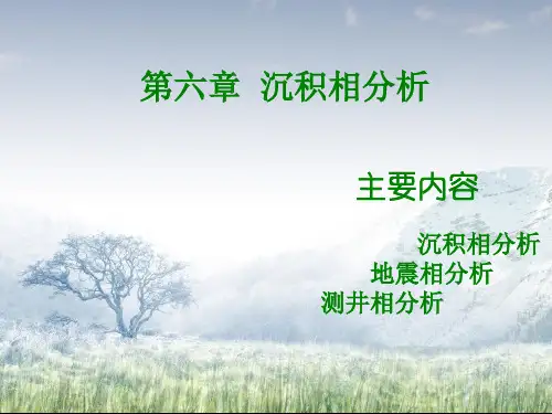 第6章-沉积相
