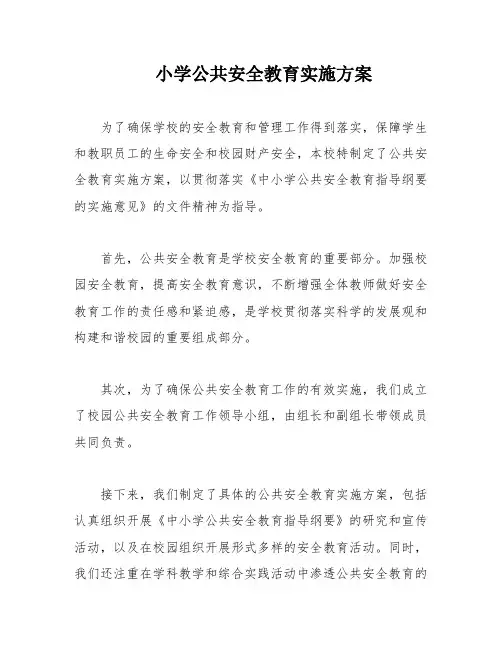 小学公共安全教育实施方案