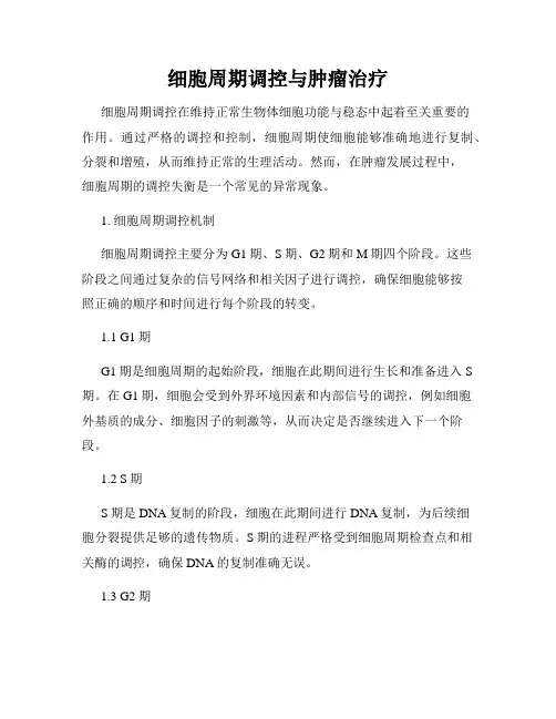 细胞周期调控与肿瘤治疗