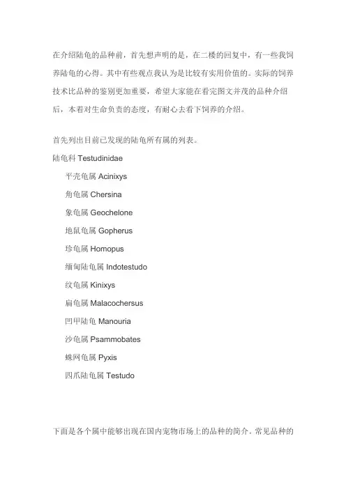 常见陆龟品种的简介与饲养