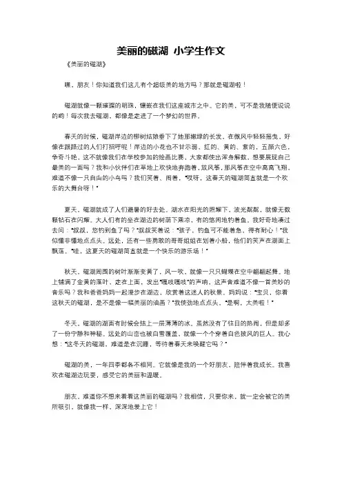 美丽的磁湖 小学生作文