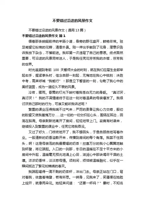不要错过沿途的风景作文（通用13篇）