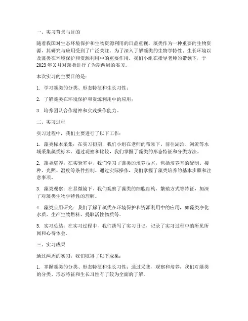 藻类实习报告