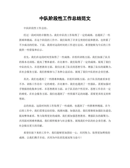 中队阶段性工作总结范文