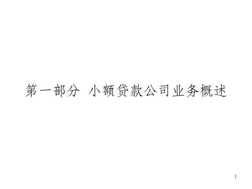 小额贷款公司业务概述_OK