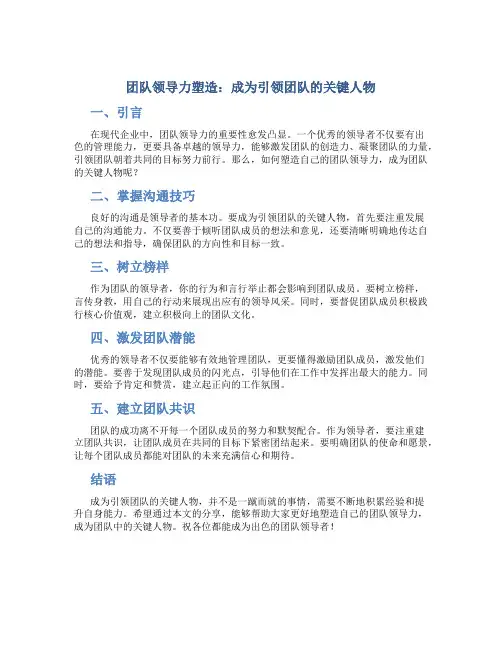 团队领导力塑造：成为引领团队的关键人物