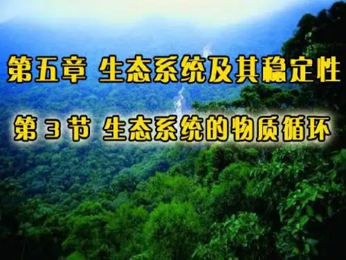 第五章 第3节 生态系统的物质循环
