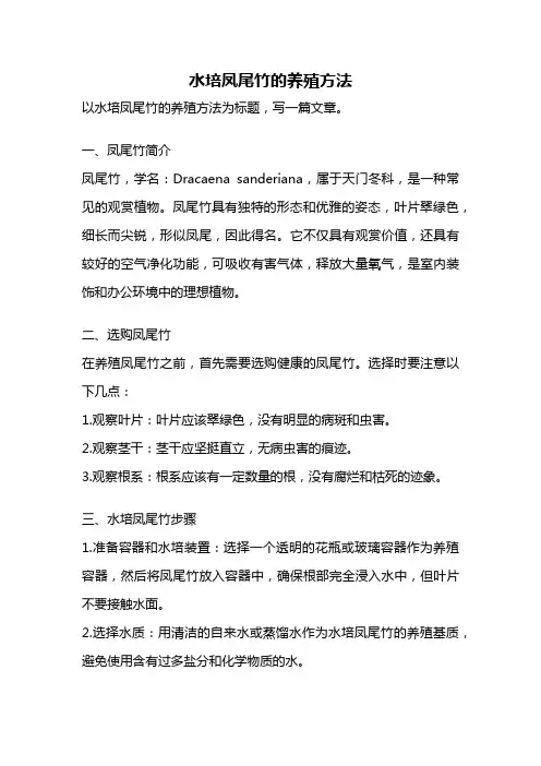 水培凤尾竹的养殖方法