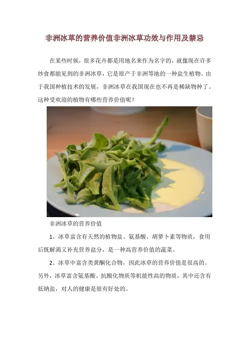非洲冰草的营养价值 非洲冰草功效与作用及禁忌