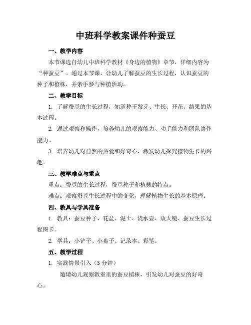 中班科学教案课件种蚕豆(1)