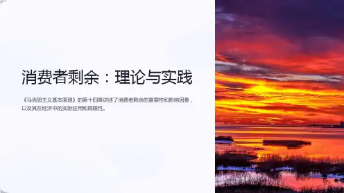 《马克思主义基本原理》ppt课件第十四章消费者剩余