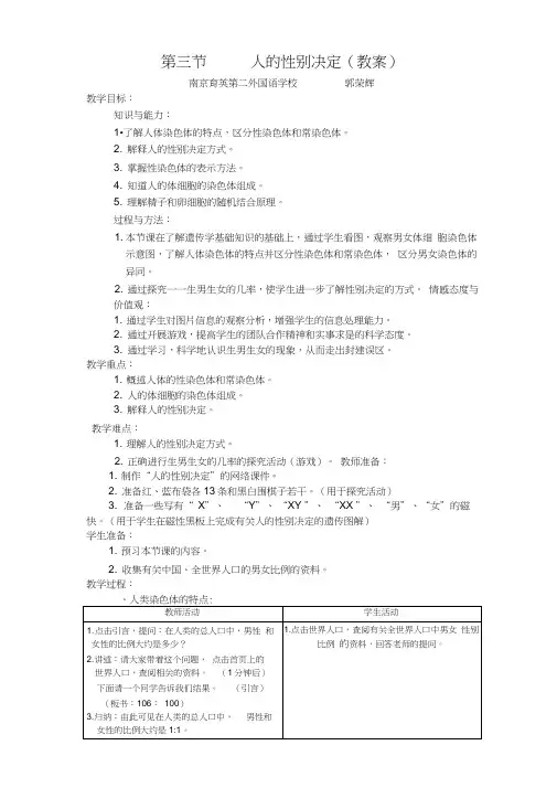 人的性别决定(教案)