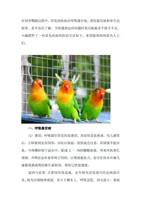 鹦鹉的常见疾病和防治