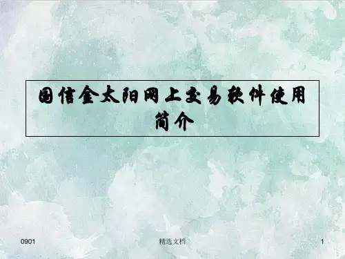 国信金太阳网上交易软件使用简介.ppt