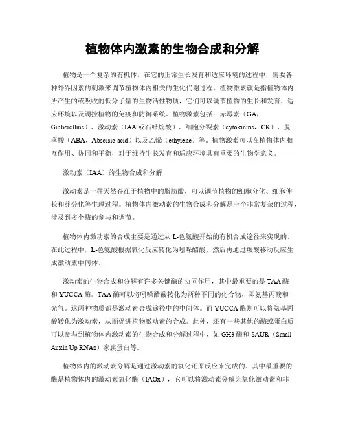 植物体内激素的生物合成和分解