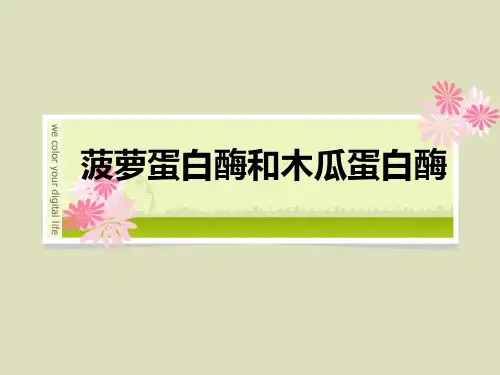 菠萝蛋白酶和木瓜蛋白酶