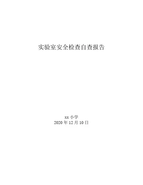 xxx小学实验室安全检查自查报告
