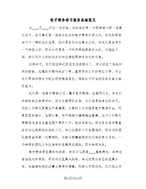 电子商务实习报告总结范文（4篇）