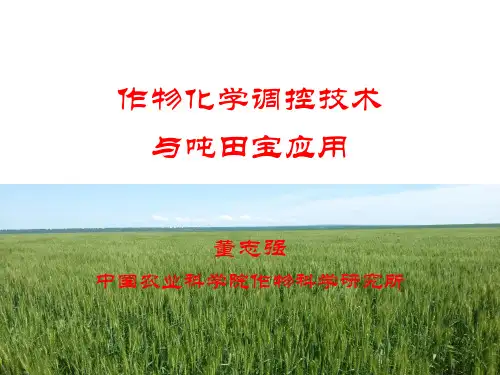 中国农科院作物所董志强 作物化学调控技术与吨田宝应用