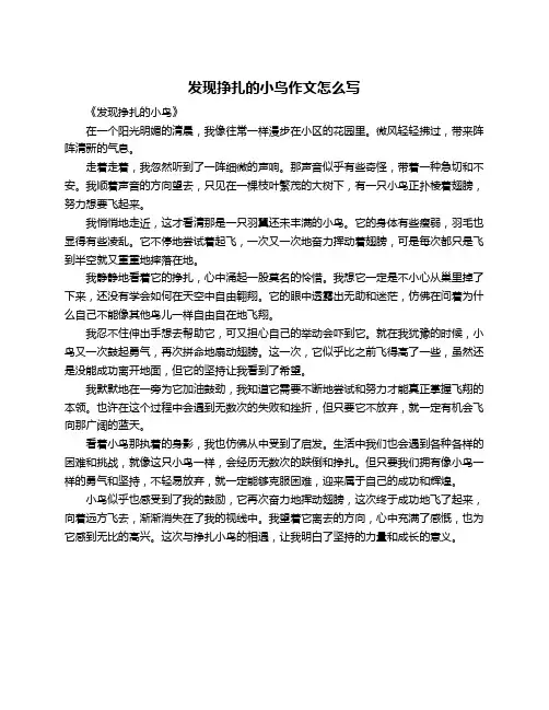 发现挣扎的小鸟作文怎么写