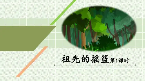 部编版二年级下册语文《祖先的摇篮》PPT教学电子课件