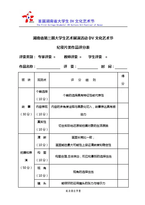 纪录片类作品评分表
