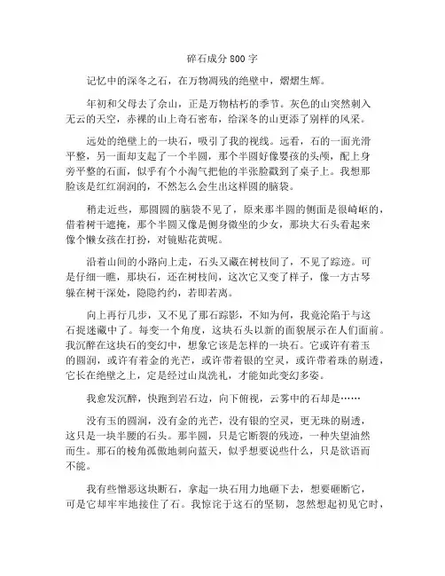 最新中小学精选作文断石作文800字