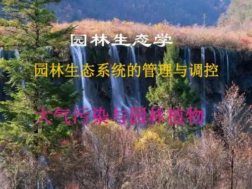 园林生态学---大气污染与园林植物
