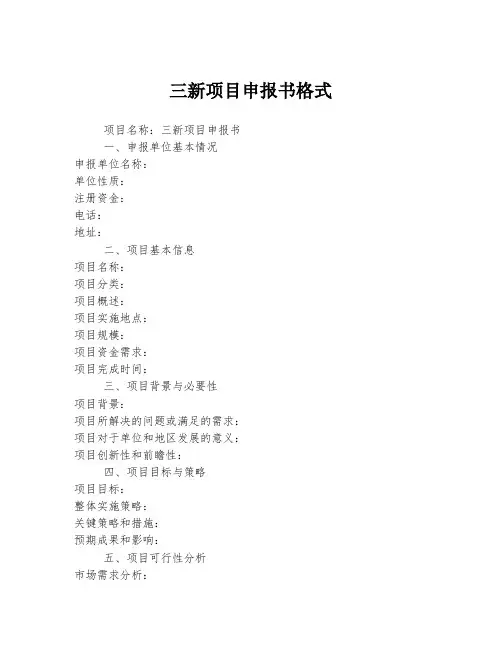 三新项目申报书格式