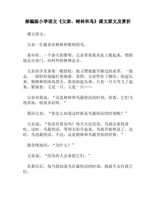 部编版小学语文《父亲、树林和鸟》课文原文及赏析